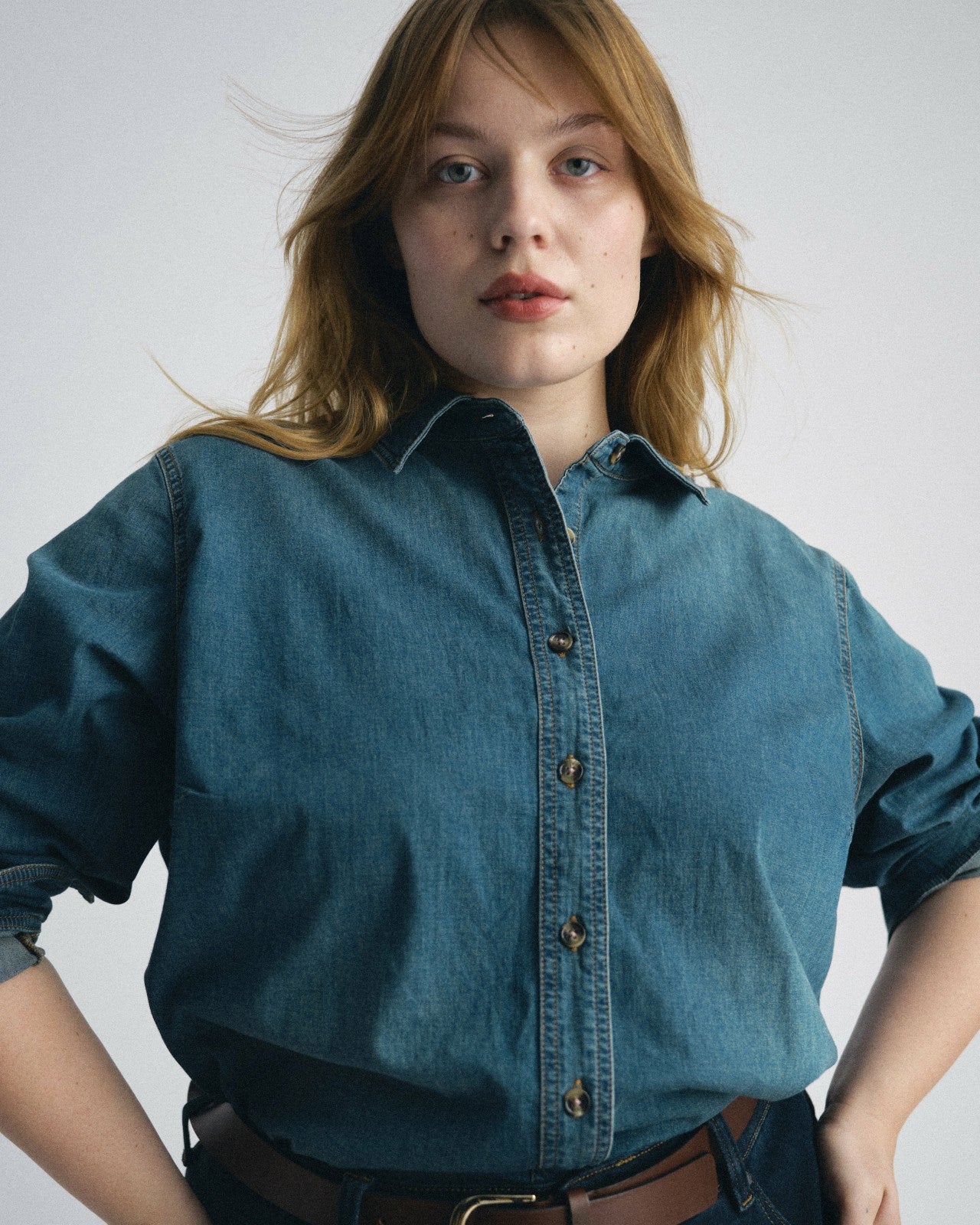 Universal Standard Minimalist Stretch Cotton Chambray Shirt - Union City Blue