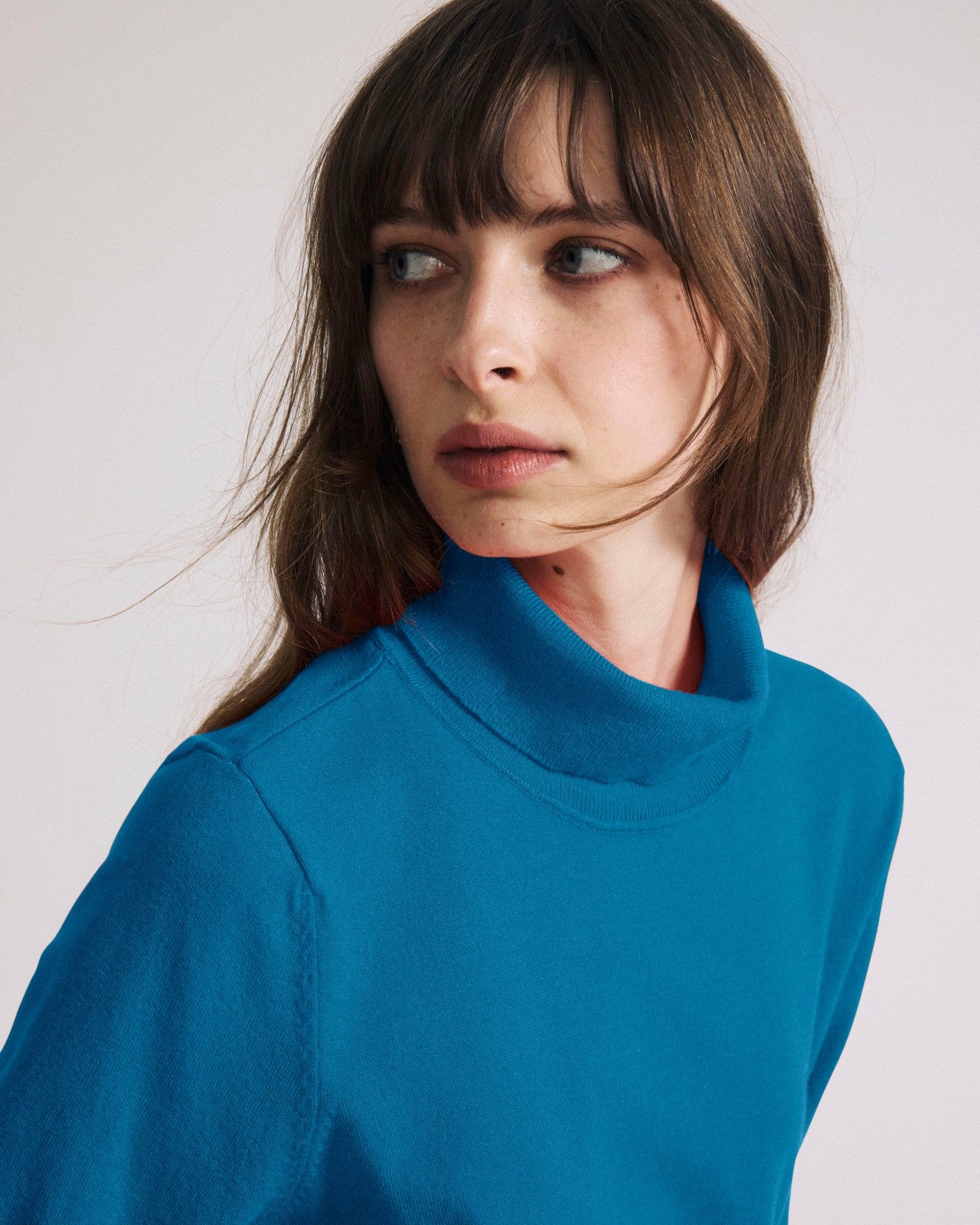 Universal Standard Savvy Fine Knit Turtleneck Sweater Top - Blue Beetle