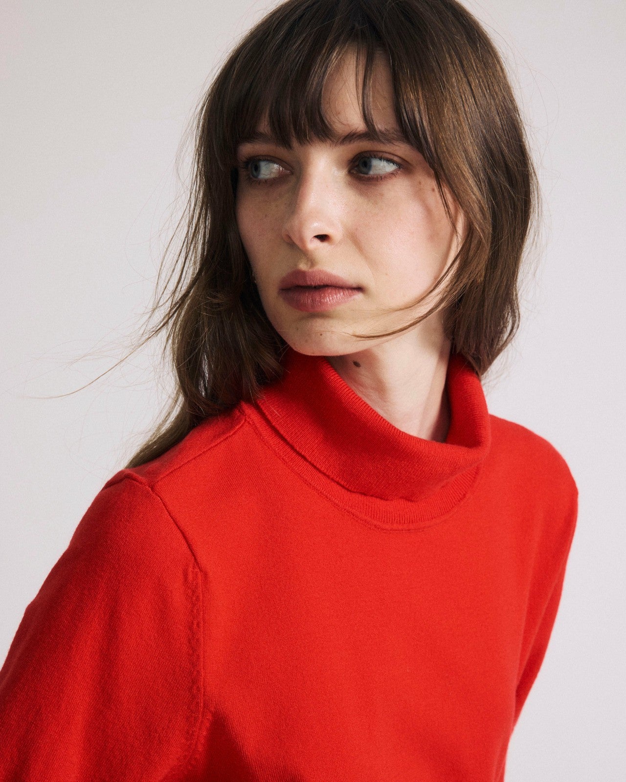 Universal Standard Savvy Fine Knit Turtleneck Sweater Top - Lipstick