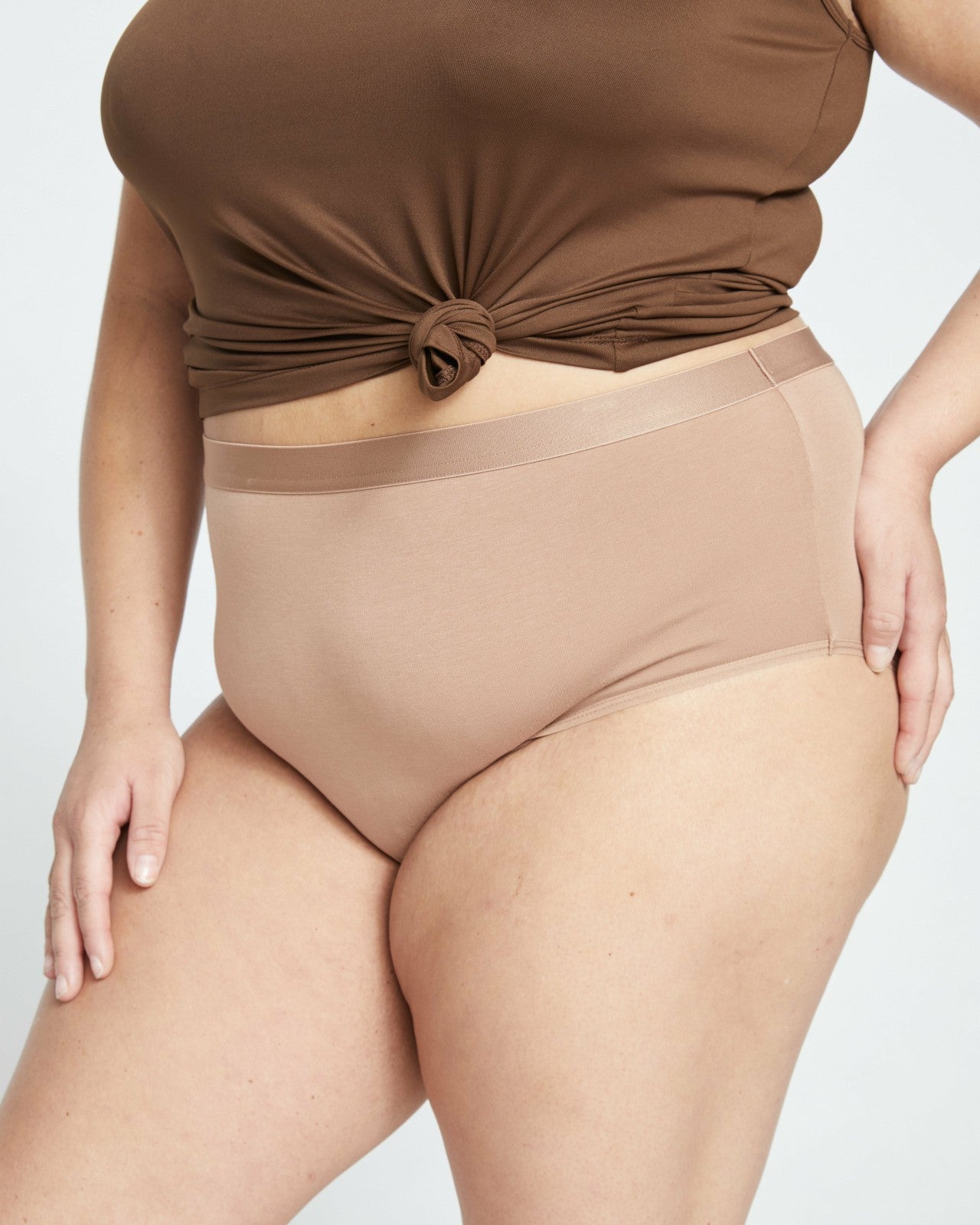 Universal Standard UltimateS High Rise Brief - Spice